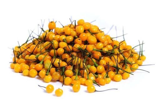 Kỳ lạ loại ớt 'cay thủng lưỡi' giá siêu đắt... nửa tỷ/kg