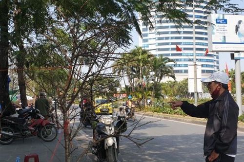 Hải Phòng: Chợ hoa xuân cầm chừng vì dịch bệnh