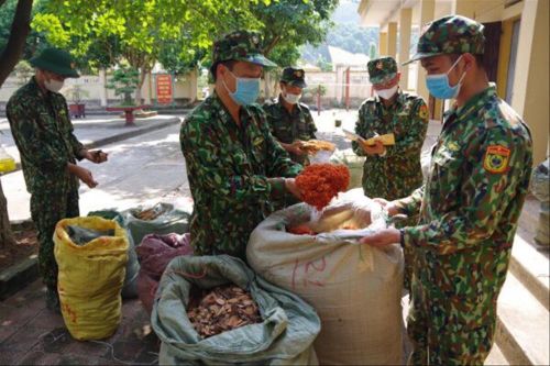 Dặm dài biên ải: Cuộc chiến thảo dược ở Chi Ma