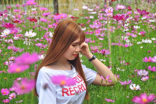 Vườn hoa thơ mộng đẹp 'hút hồn' bạn trẻ ở Cần Thơ