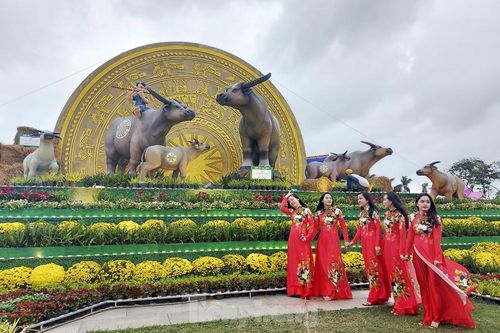 Bình Định khánh thành biểu tượng linh vật năm 2021 'gia đình Trâu sum vầy hạnh phúc'
