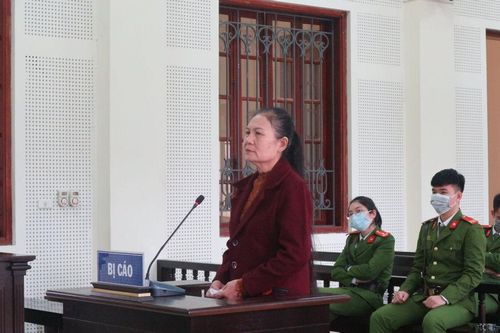 Chiếm đoạt xe ô tô của con nuôi để buôn ma túy