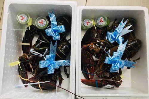Tôm hùm, cua hoàng đế đóng hộp kính: Quà Tết trăm triệu, sếp biếu nhân viên ăn ngay