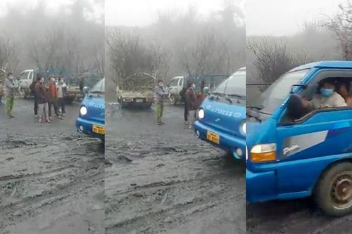 Dàn xe chở đào ở Lào nhộn nhịp, lén lút nhập cảnh vào Nghệ An