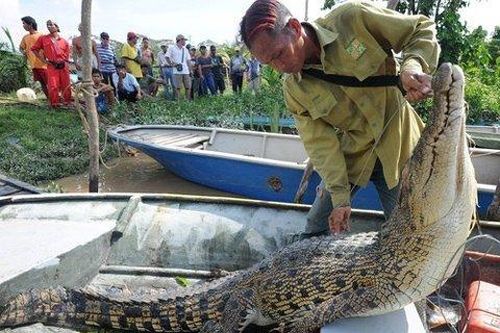 Niệm 'thần chú', bắt cá sấu ăn thịt người