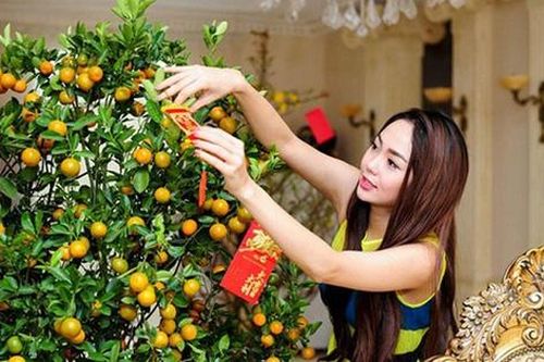 Sắm Tết 2021: Kinh nghiệm chọn quất cảnh đẹp, không bị gắn quả giả