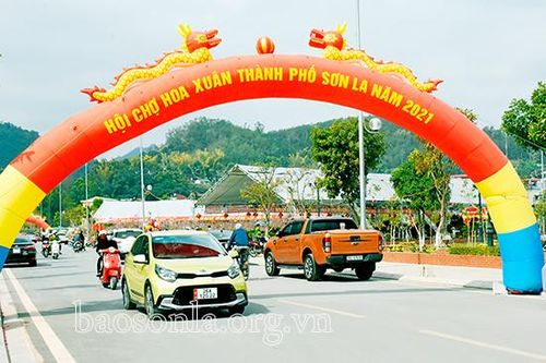 Đa dạng sắc hoa ngày Tết