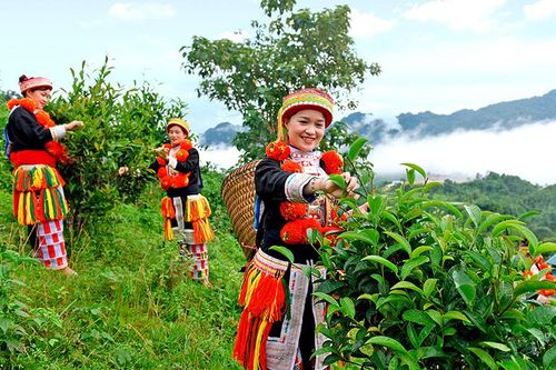 Hương sắc vùng cao