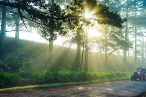 Cả nước nắng đẹp trong ngày ông Công ông Táo