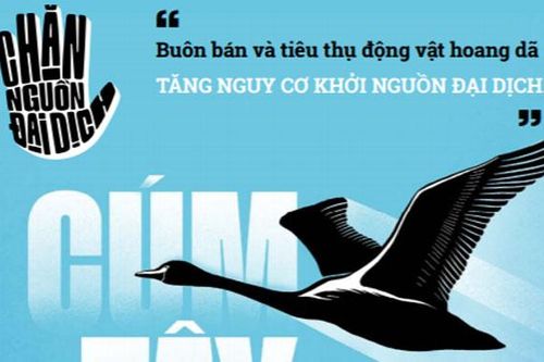Ra mắt bộ infographic truyền thông điệp chặn nguồn đại dịch