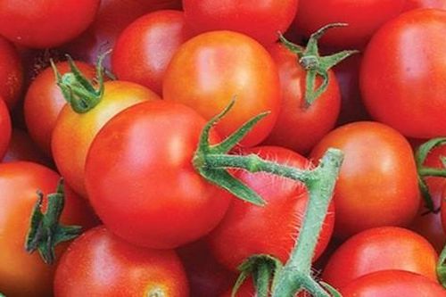 Cà chua đang vừa rẻ vừa ngon nhưng đây là 5 điều nhất định phải tránh khi ăn