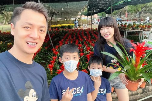 Sao Việt trang hoàng nhà cửa đón Tết Nguyên đán