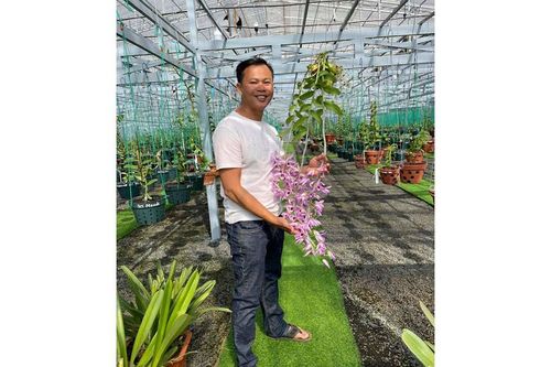 Ông chủ vườn lan Long Bảo và niềm đam mê bất tận với hoa lan