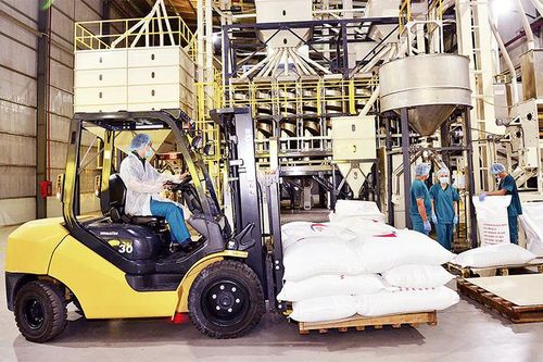 Ðộng lực và kỳ vọng phát triển năm 2021