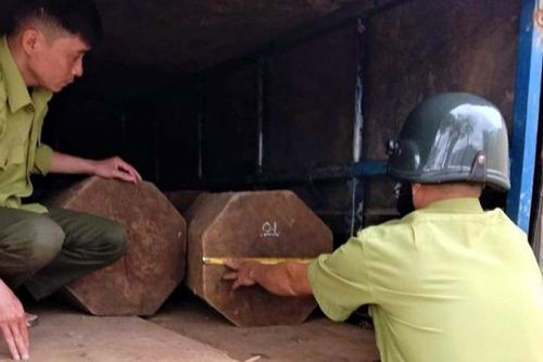Chở gỗ quý hiếm trái phép