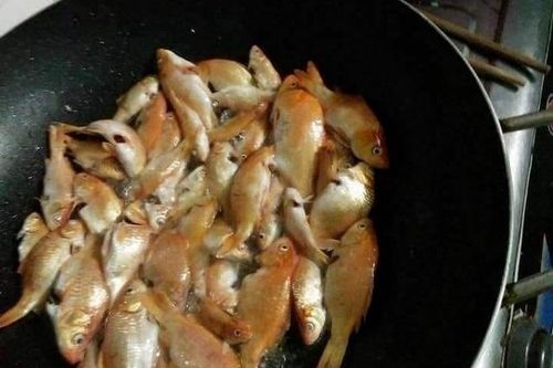 Loạt ảnh hài hước hậu ông Công ông Táo