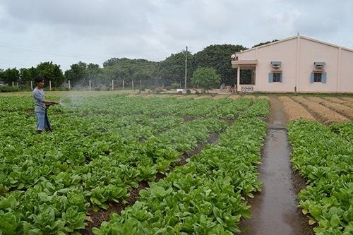 Khởi sắc vùng đồng bào dân tộc Khmer tỉnh Kiên Giang