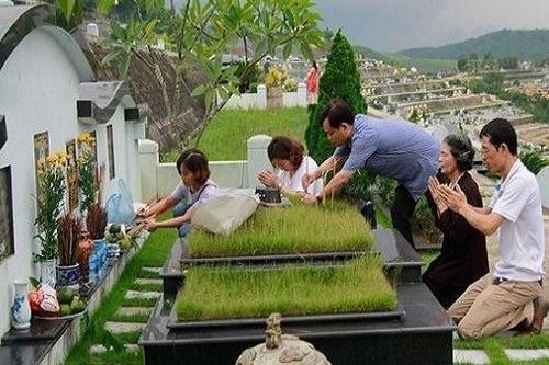Ngày cuối năm, các gia đình tảo mộ mời Tổ tiên về đón Tết