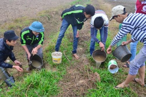 Hàng tấn thuốc diệt chuột cấm lưu hành đang được sử dụng ở TP Thanh Hóa