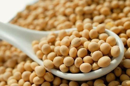 Trung Quốc: Tồn kho đậu tương tiếp tục giảm khi tàu nhập khẩu giảm dần