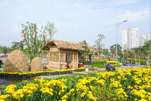 Muôn sắc hoa đồng nội trên đường Home Hanoi Xuan Splendora