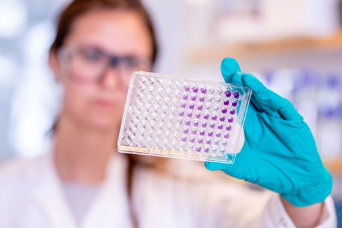 Vắcxin phòng COVID-19 của AstraZeneca cho kết quả thử nghiệm khả quan