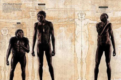 Khám phá bất ngờ về loài người tiền sử mới