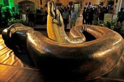 Loài rắn khổng lồ nhất trên Trái Đất