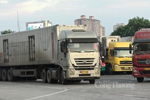 Cận Tết Tân Sửu xuất nhập khẩu sôi động qua Lào Cai