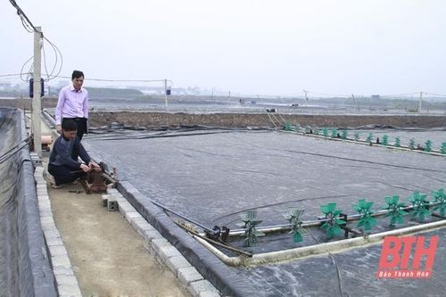 Chi bộ Ngân hàng Chính sách xã hội huyện Hoằng Hóa: Đẩy mạnh học tập và làm theo tư tưởng, đạo đức, phong cách Hồ Chí Minh