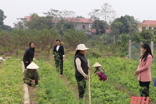 Cán bộ hội vượt khó, giỏi việc hội