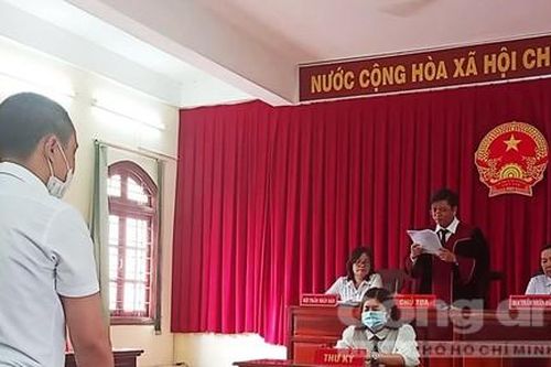 Tòa tuyên công ty bảo hiểm bồi thường hơn 300 triệu đồng