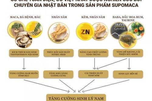 Bí quyết tăng cường sinh lực phái mạnh đến từ Nhật Bản