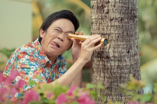 Những diễn viên từng giúp phim Việt kiếm tiền mùa Tết