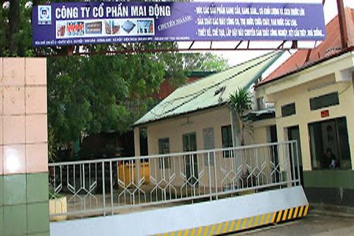 Nhiều mã giao dịch được cấp mới trong tuần qua