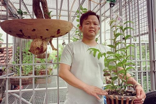 Anh nông dân nghèo bỗng chốc đổi đời nhờ loại cây này