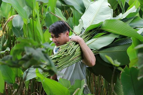 Những ngày bận rộn nhất trong năm của làng lá dong Tràng Cát