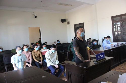 'Đầu độc' rừng thông Đắk Nông, 6 đối tượng lãnh 48 năm tù