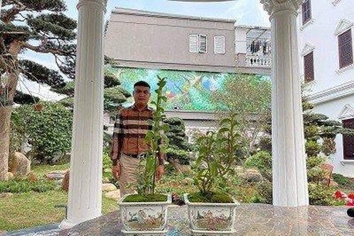 Nghệ nhân Bùi Hữu Giang chia sẻ bí quyết chăm sóc hoa lan