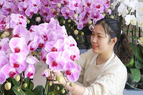 Sắm Tết 2021: Cách nhận biết hoa lan 'xịn' và 4 bí quyết mua hoa đẹp đón xuân