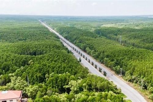 Đề xuất chuyển huyện Cần Giờ thành quận