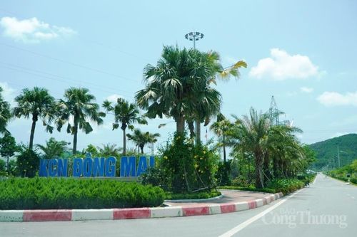 Quảng Ninh có thêm dự án 30 triệu USD