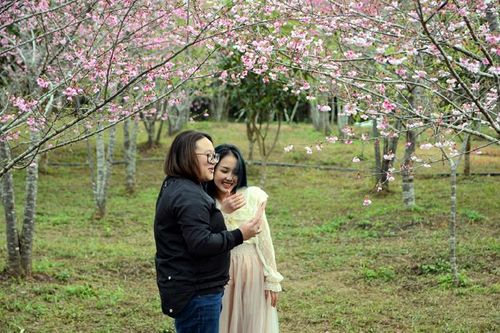 Giữ vẻ đẹp đảo hoa anh đào