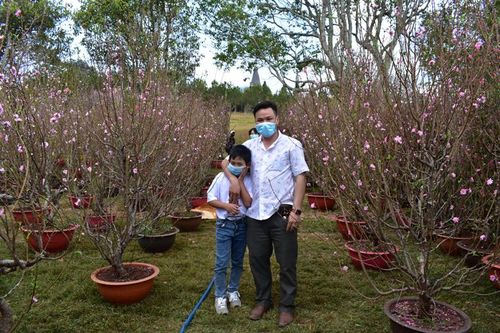 Đào hạt ven hồ Xuân Hương thu hút khách xuân