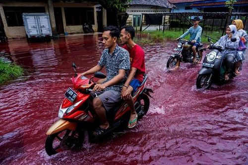 Cận cảnh dòng nước lũ 'đỏ như máu' tràn vào ngôi làng ở Indonesia