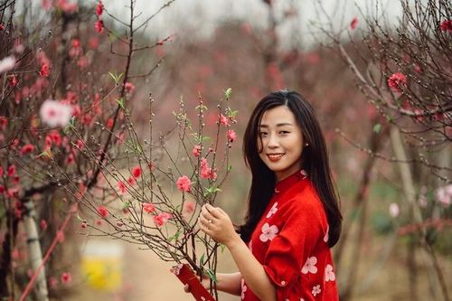 Vườn đào Nhật Tân bung nở, đẹp rực rỡ trước Tết Nguyên đán