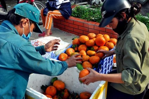 Hà Tĩnh: Cam bù tấp nập xuống chợ, giá cao vẫn không đủ hàng để bán