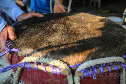 Hà Nam: Làng nghề làm trống bằng da trâu có giá tiền triệu nhộn nhịp ngày cuối năm