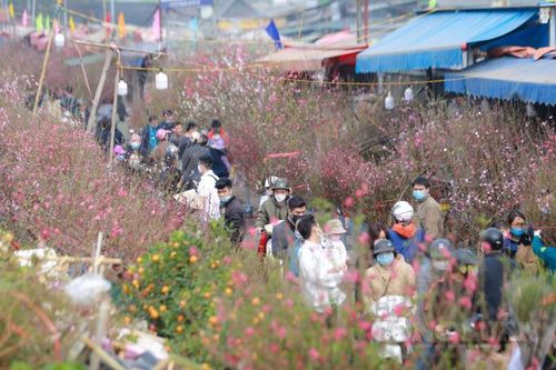 Nhộn nhịp chợ hoa Quảng Bá vào ngày Chủ nhật cuối cùng của năm Canh Tý
