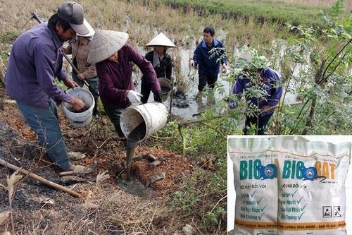 Thành phố Thanh Hóa khẩn cấp dừng sử dụng thuốc diệt chuột bị cấm